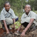 Successful Social and Community Enterprises Addressing Environmental Issues