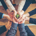 The Importance of Sustainability in Social and Community Entrepreneurship