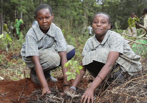 Successful Social and Community Enterprises Addressing Environmental Issues