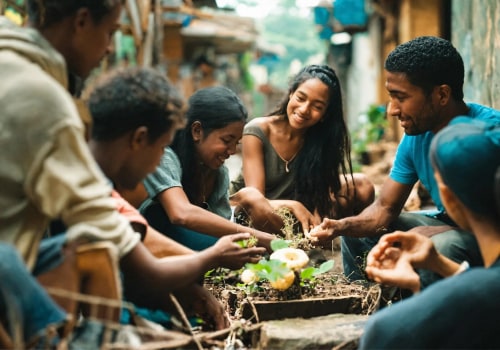 Understanding Social and Community Entrepreneurship