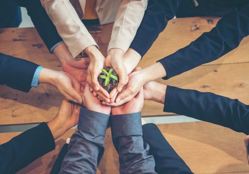The Importance of Sustainability in Social and Community Entrepreneurship